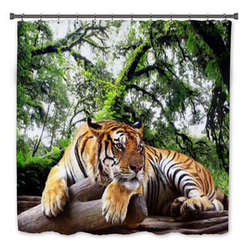 Tiger Bath Decor