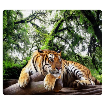 Tiger Rugs