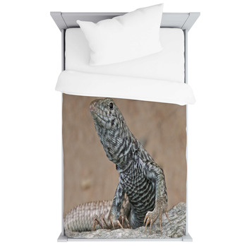Tiger Whiptail / Aspidoscelis Tigris Toddler Duvet