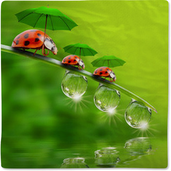 Tiny Little Ladybugs With Umbrellas Baby Blanket