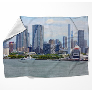 Tokyo Skyline - Chuo Ward Woven Throw Blanket