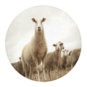 Sheep Area Rugs & Floor Mats