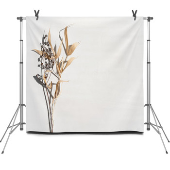 Top View Of Pastel Dry Dried Bamboo And  Fleece Backdrop