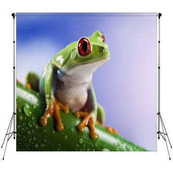 Tree Frog	 Fleece Backdrop