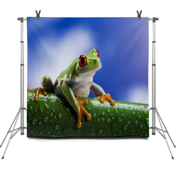 Tree Frog	 Fleece Backdrop