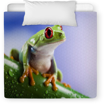 Tree Frog	 Toddler Comforter