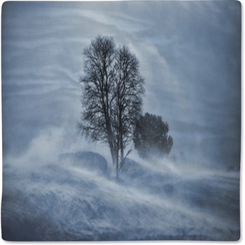 Tree In Snow Blizzard Baby Blanket