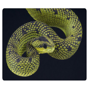 Tree Viper / Atheris Nitschei Bath Mat