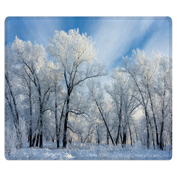 Trees Covered With White Frost Bath Mat