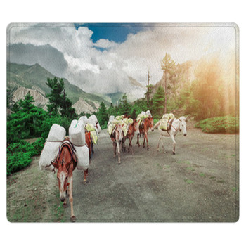 Trekking In Nepal Area Rug
