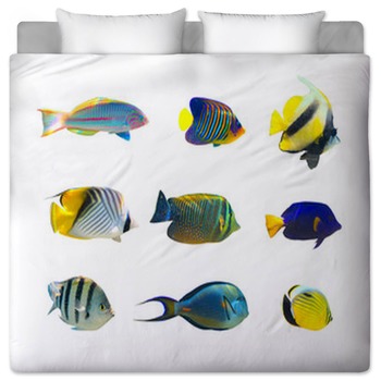 Tropical Fish Comforters Duvets Sheets Sets Custom