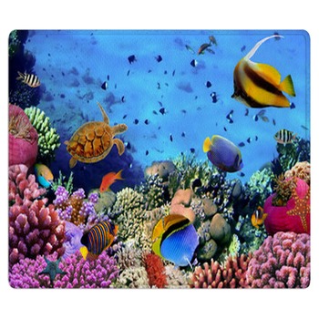 Tropical Fish Rugs