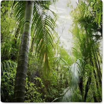 Tropical Forest Baby Blanket