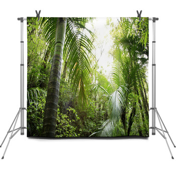 Tropical Forest Fleece Backdrop