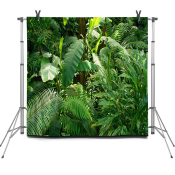 Tropical Jungle Fleece Backdrop