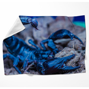 Tropical Scorpion In Thailand Woven Throw Blanket