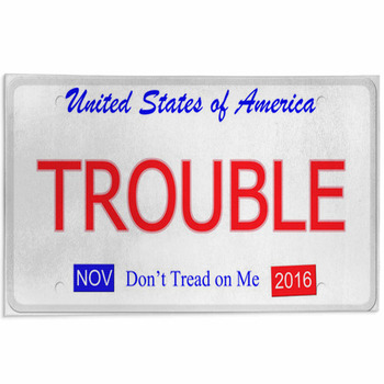 Trouble License Plate Area Rug