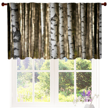 Trunks Of Birch Trees Custom Size Valance