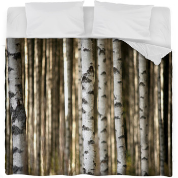 Trunks Of Birch Trees Fleece Bed Blanket
