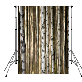 Trunks Of Birch Trees Pole Pocket Backdrop
