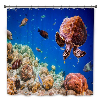 Turtle Bath Decor