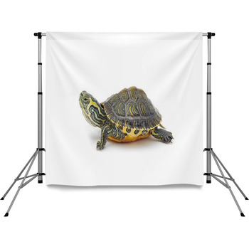 Turtle Pole Pocket Backdrop