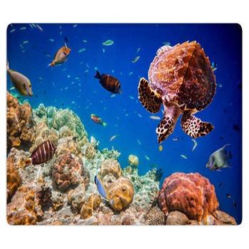 Turtle Rugs