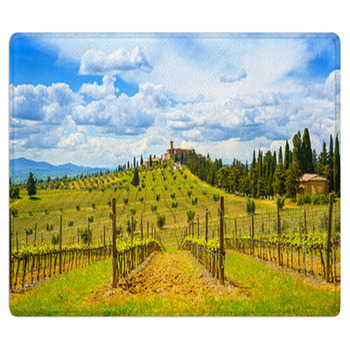 Tuscany, Vineyard, Cypress Trees And Village. Area Rug