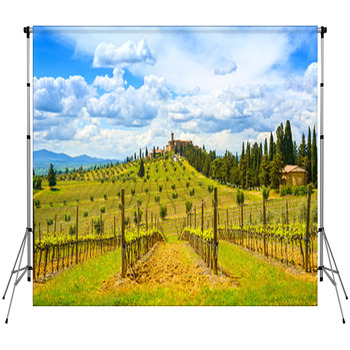 Tuscany, Vineyard, Cypress Trees Custom Size Backdrop