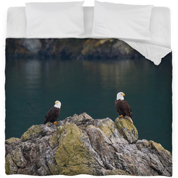 eagles bed rest pillow