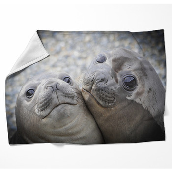 Two Elephant Seals Woven Throw Blanket