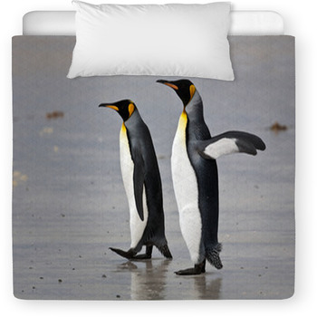 Two King Penguins On The Beach Toddler Comforter