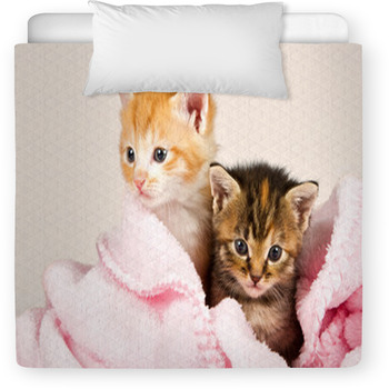 Two Kittens In A Pink Blanket Toddler Comforter