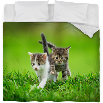Two Little Kittens On The Grass Fleece Bed Blanket