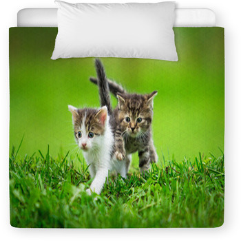 Two Little Kittens On The Grass Toddler Comforter