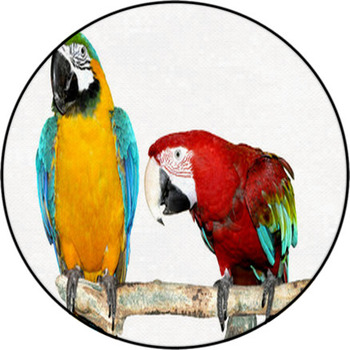Two Parrots Round Rug