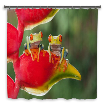 Two Red-eyed Tree Frogs Custom Size Shower Curtain