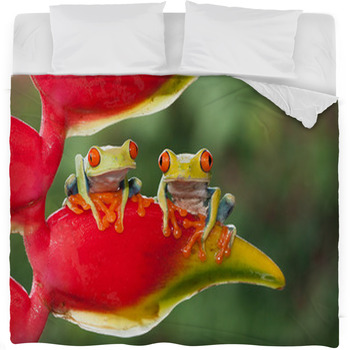 Two Red-eyed Tree Frogs Sitting On A  Fleece Bed Blanket