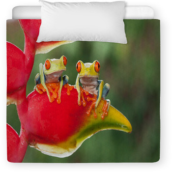 Two Red-eyed Tree Frogs Sitting On A Toddler Duvet