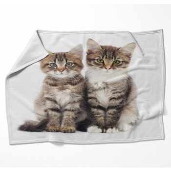 Two Small Kittens Woven Throw Blanket