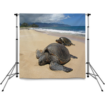 Two Turtles In The Sand In A Beach  Pole Pocket Backdrop