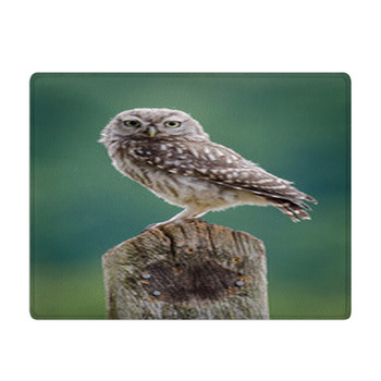 UK Wild Little Owl Bath Mat