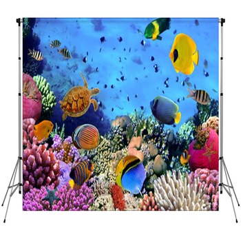 Underwater Backdrops
