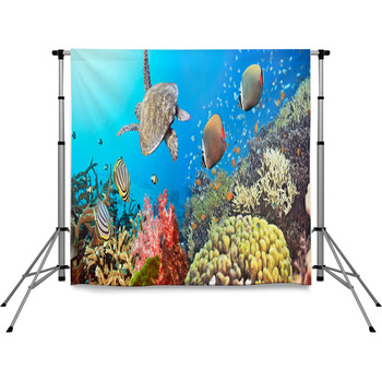 Underwater Panorama Pole Pocket Backdrop