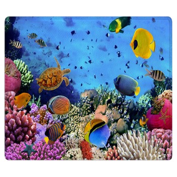 Underwater Rugs