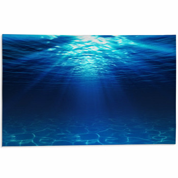 Underwater View With Sandy Seabed Area Rug