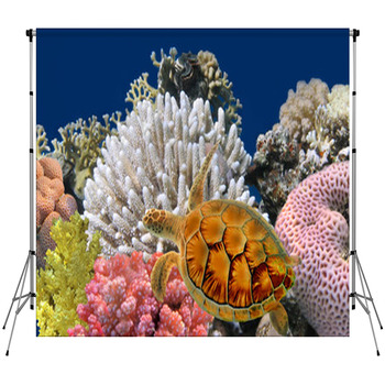 Underwater World Fleece Backdrop