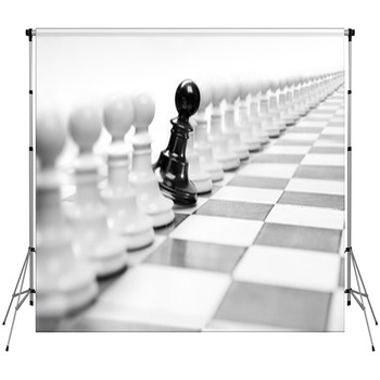 Unique Backdrops