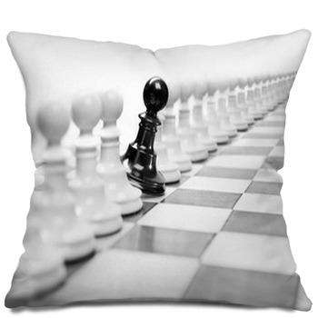 Unique Pillows