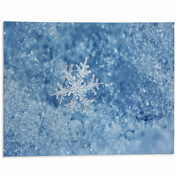 Unique Snowflake Detailed Close Up Area Rug
